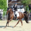sommerturnier2021 25